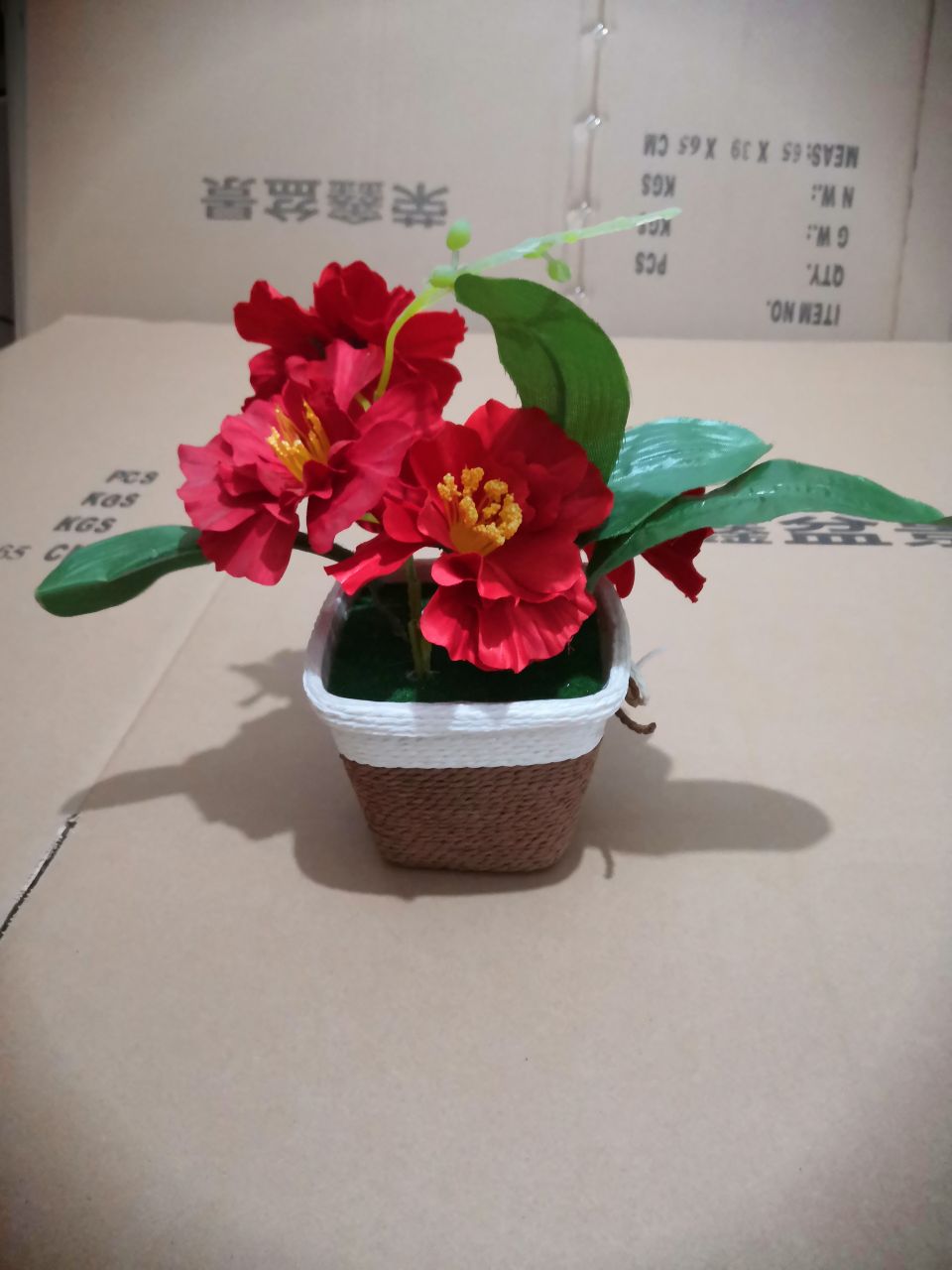 Bonsai