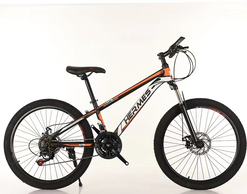 Mountain bikes, Children's bikes, Electric bikes, scooters, skateboards, tricycles, go-kart, Twisters, baby strollers