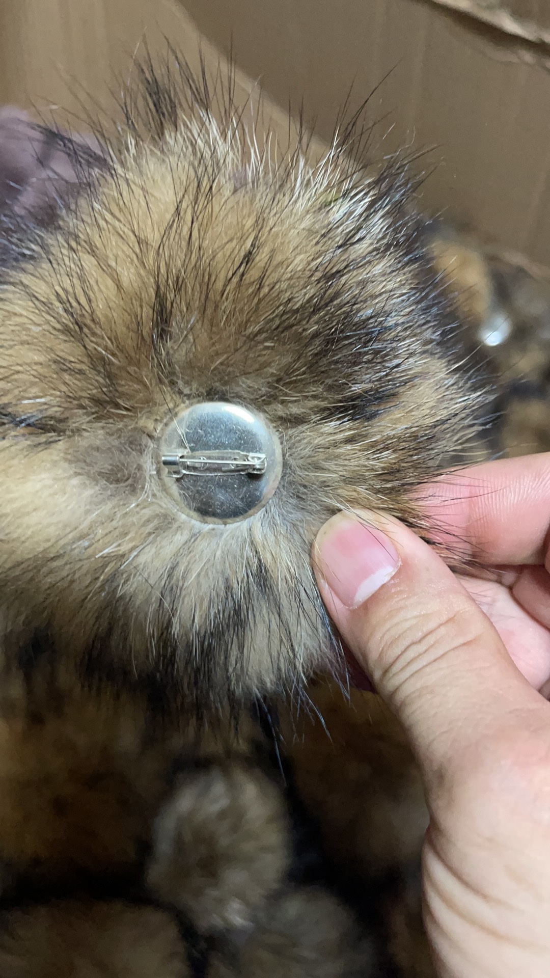 Hairball details Picture