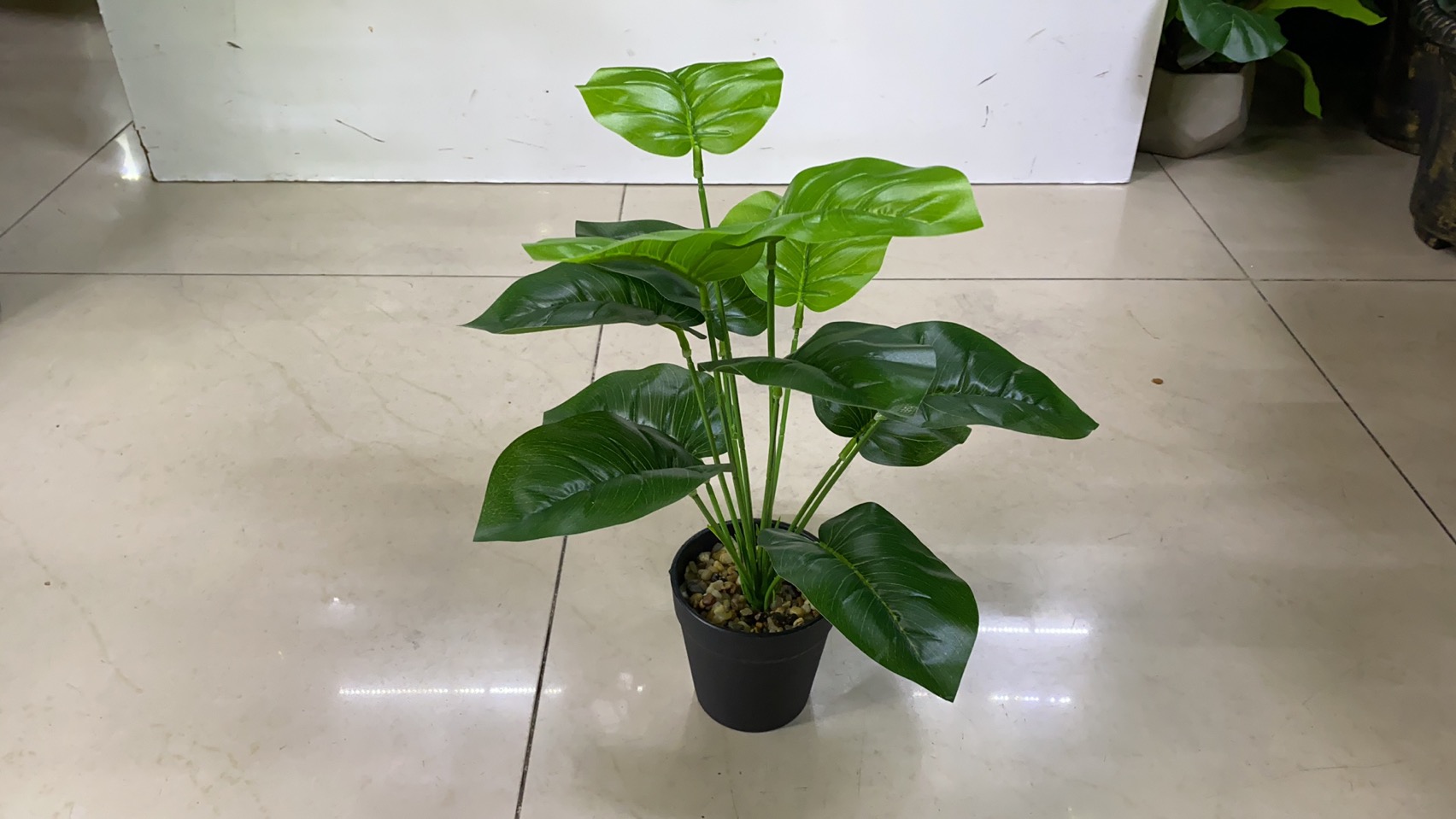 Bonsai 43 simulation handicrafts, decorative ornaments, and simulation flowers come in a wide variety of colors and types, with all sizes and specifications available. Customized orders based on samples are also available