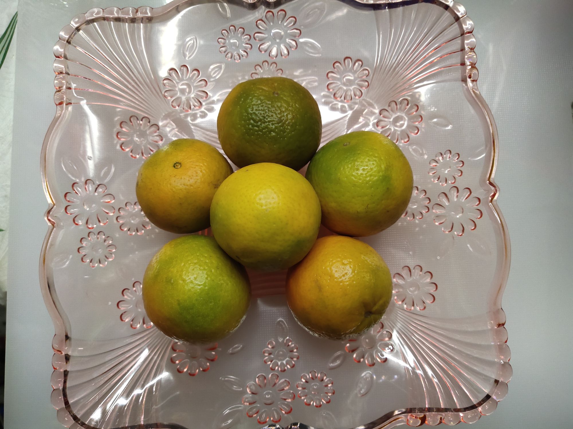 1005 Fruit Tray Household Goods Practical Good Recommended To Buy Cheap Quality details Picture