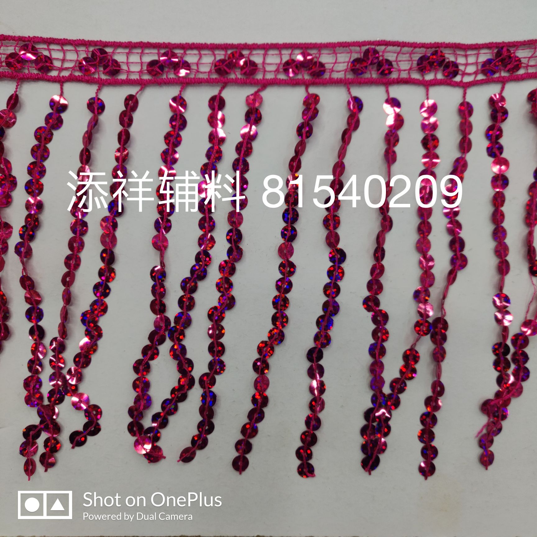 15Cm Sequin Fringe details Picture
