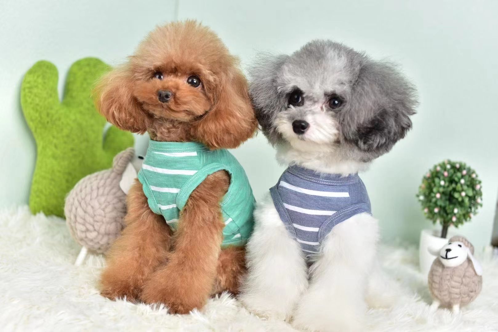 Pet supplies! Ultra-thin comfortable breathable soft ~ sunscreen air-conditioned room suitable