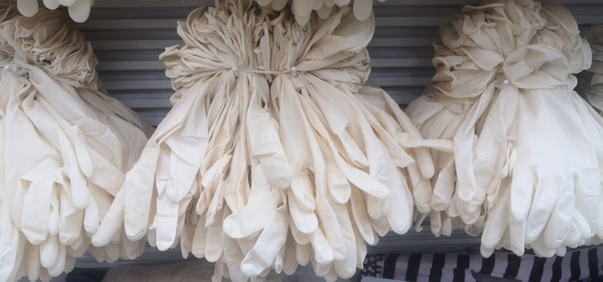 12 "latex gloves Housekeeping gloves thumbnail