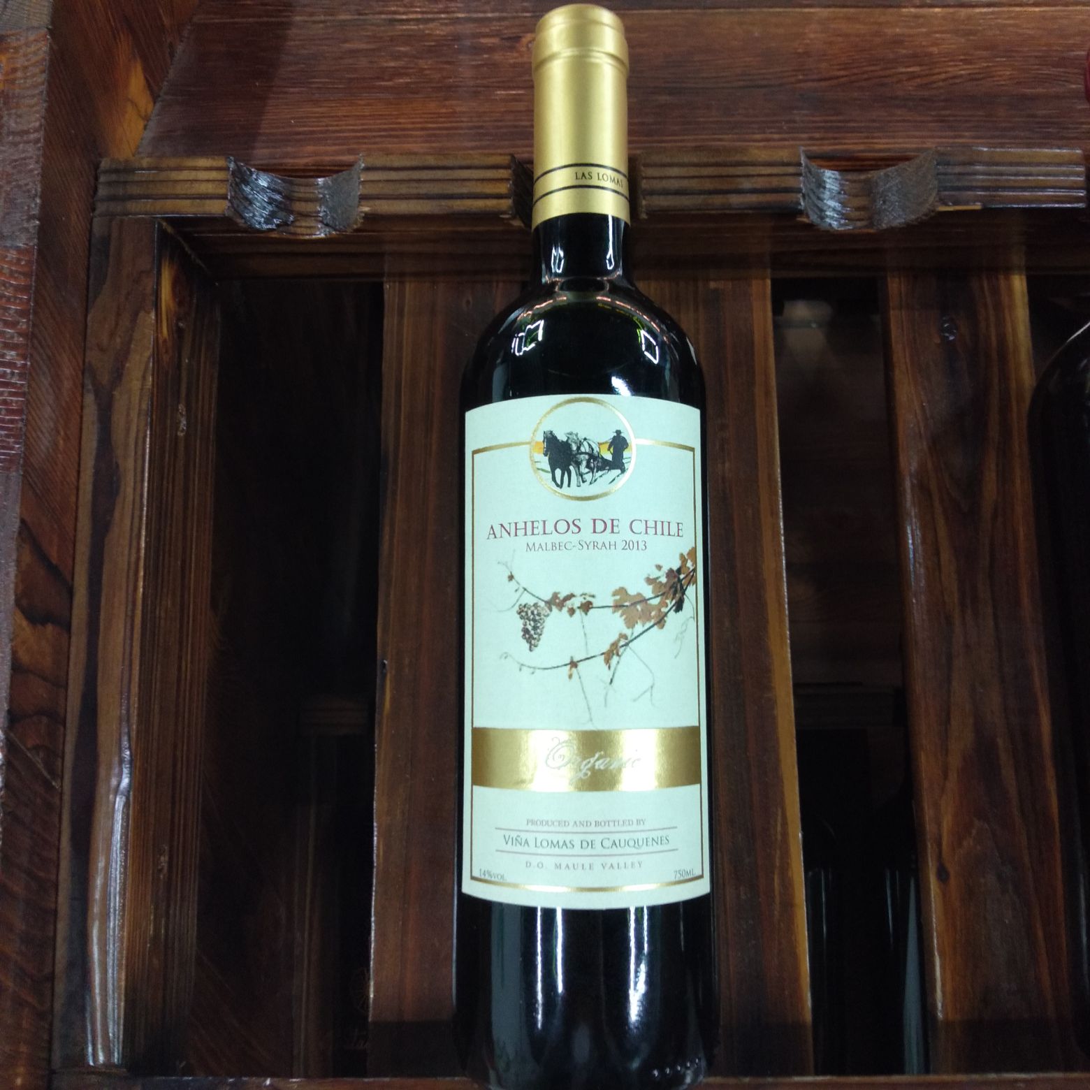 Chile Imported Dry Red Wine 1