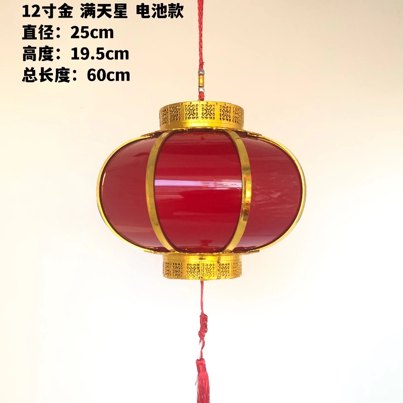 12寸金满天星电池款详情1