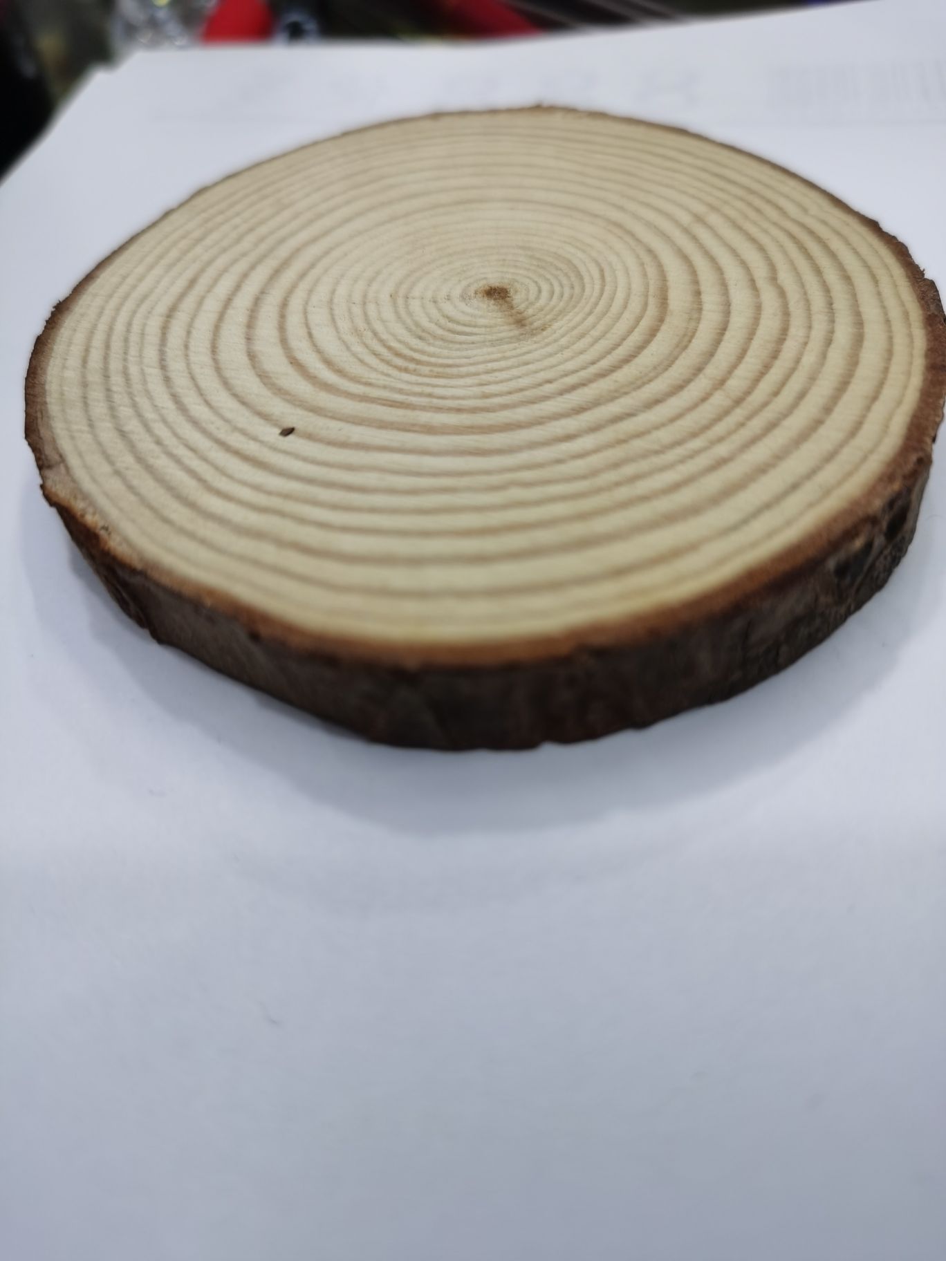 Log, pine round piece, diameter: (20-23) cm, thickness: 2 cm. details Picture