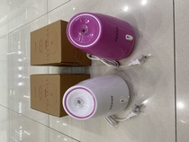 Face steamer