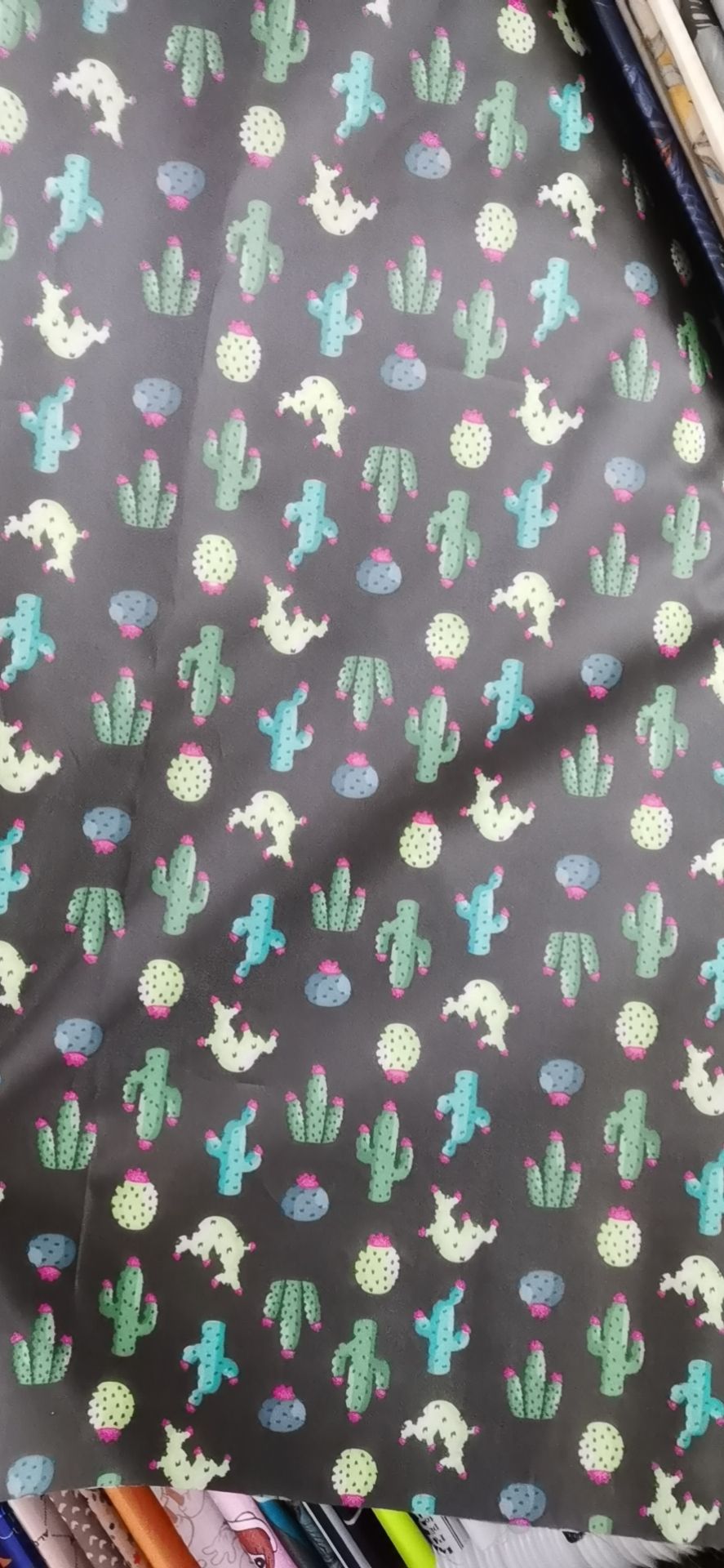 Prickly pear