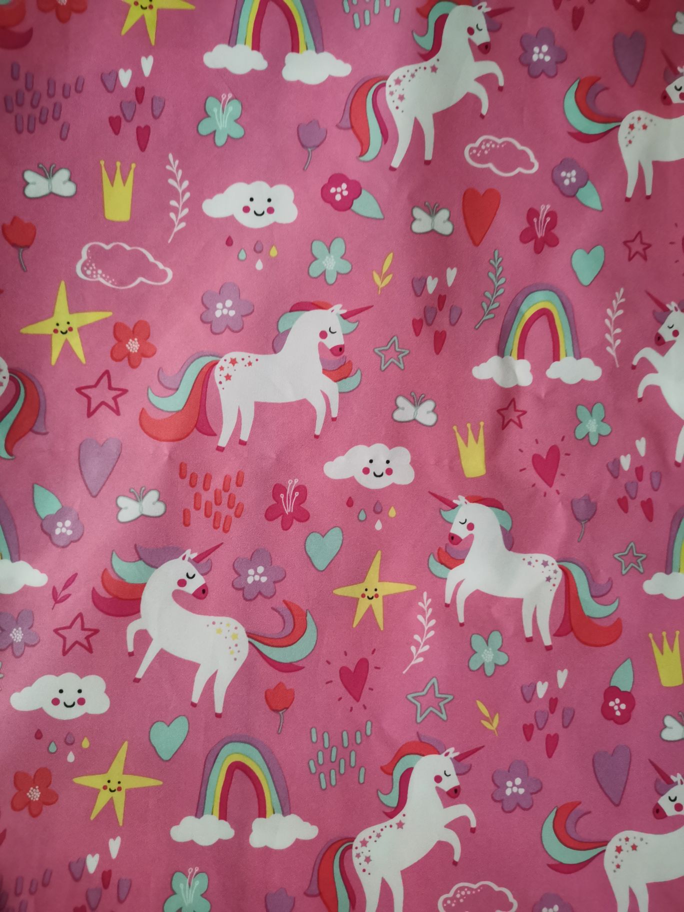 The Rainbow Unicorn