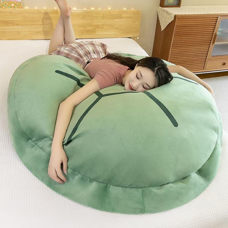 Turtle Shell Creative Pillow Pillow Case Plush Toy Application Scenario