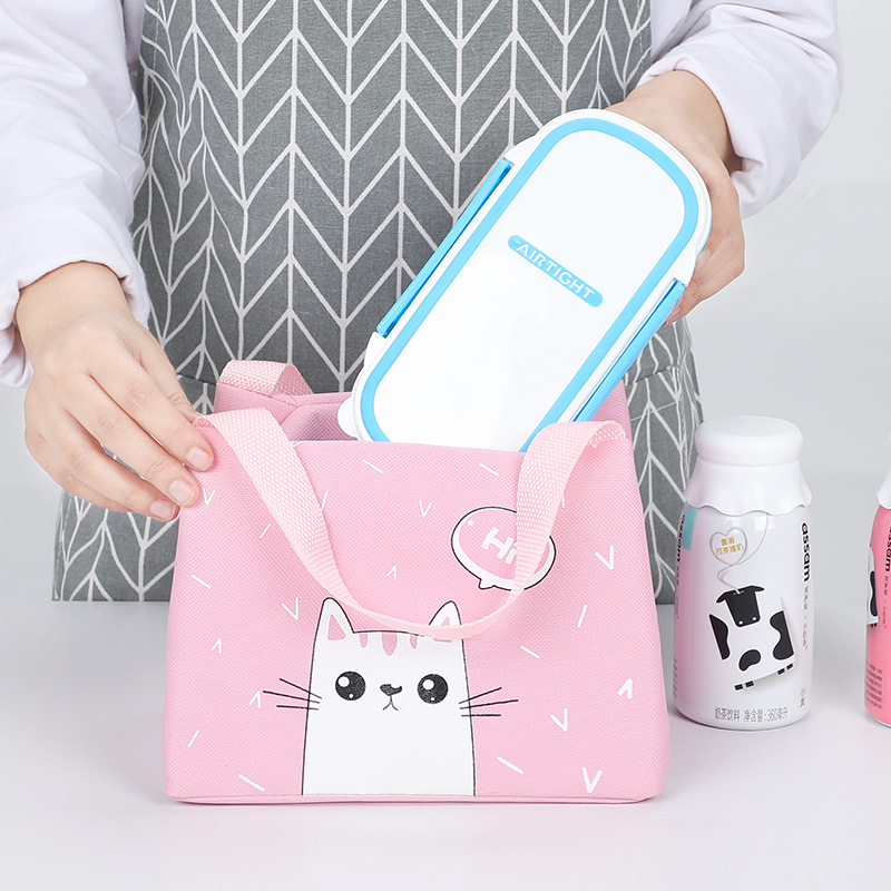Portable Lunch Bag Lunch Box Fresh-Keeping Outdoor Picnic Bag Winter Thermal Bag Cartoon Pet Bento Bag Ice Bag Application Scenario