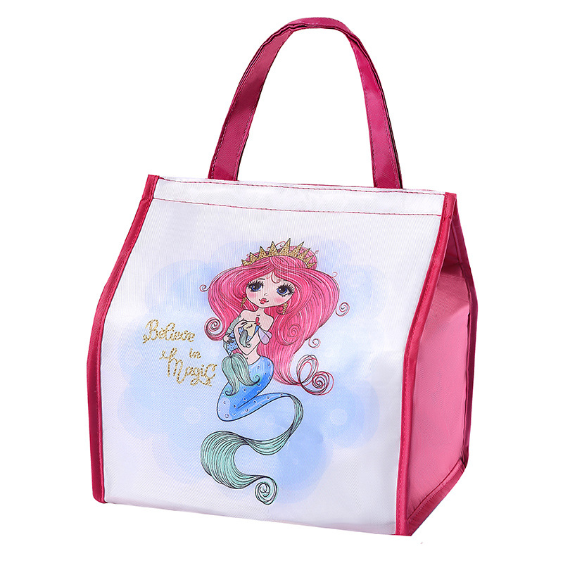 Insulated Lunch Box Bag Portable Lunch Bag Insulated Lunch Box Lunch Bag Student Lunch Bag Aluminum Foil Insulated Meal Bag Application Scenario