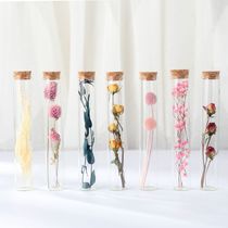 Cork tube bottle transparent vial vial vial vial vial vial vial vial vial vial vial vial vial vial vial vial vial vial vial vial vial vial vial vial vial