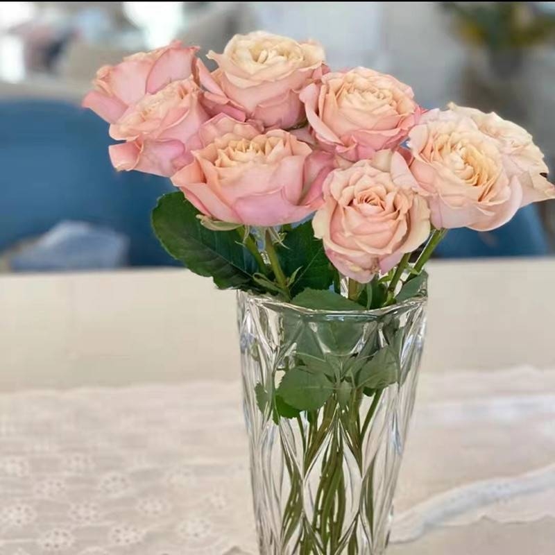 Large transparent gold leaf vase decoration glass living room light luxury flower arrangement dry flower decoration creative diamond