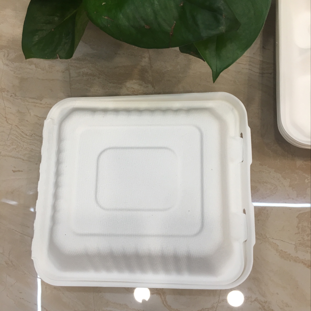 可降解餐盒 打包盒 汉堡 盒23507 