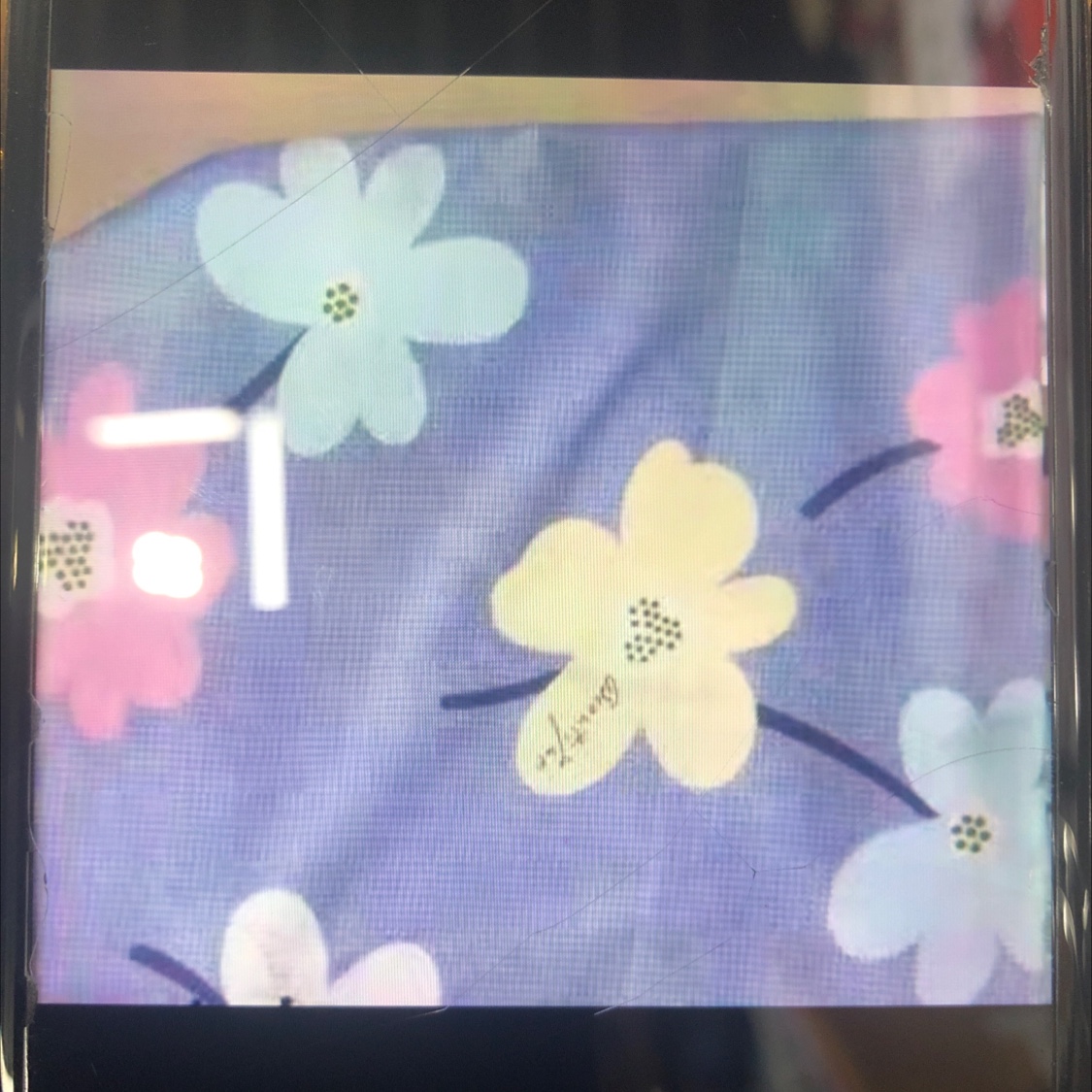 Electric Blanket details Picture