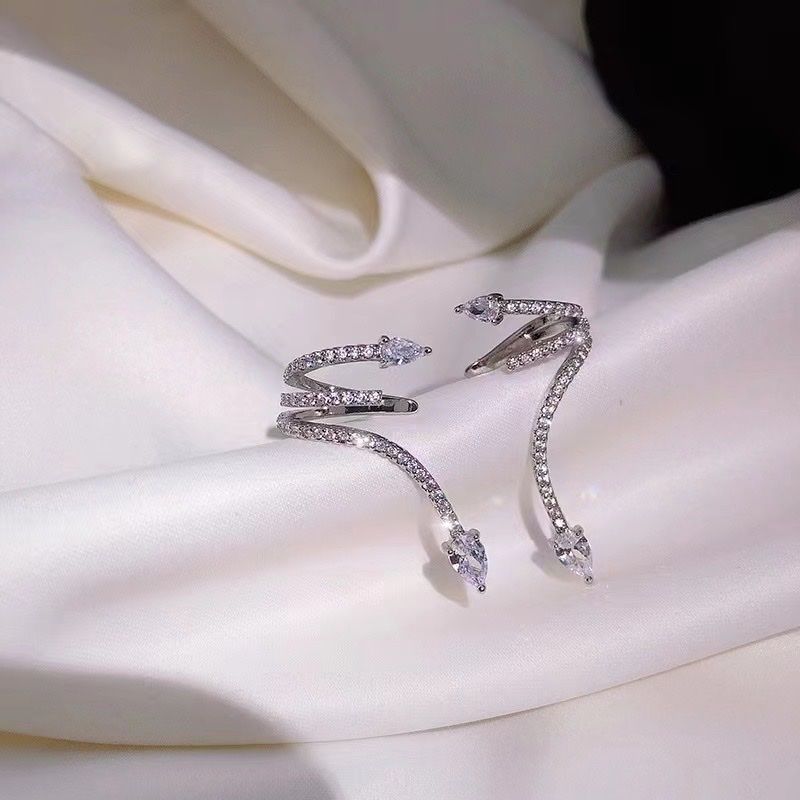 Niche Light Luxury Creative Design Sense Multi-Level Ear Hanging Ear Bone Clip Ear Needle One Animal Cold Wind Snake Earrings
