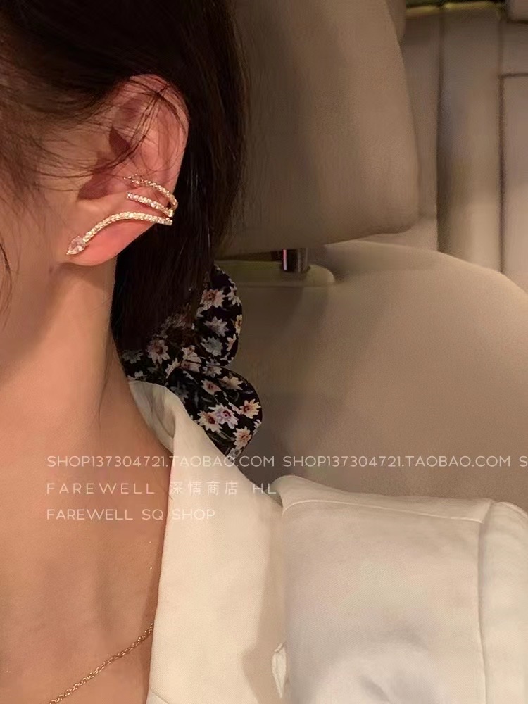 Niche Light Luxury Creative Design Sense Multi-Level Ear Hanging Ear Bone Clip Ear Needle One Animal Cold Wind Snake Earrings Specification drawing