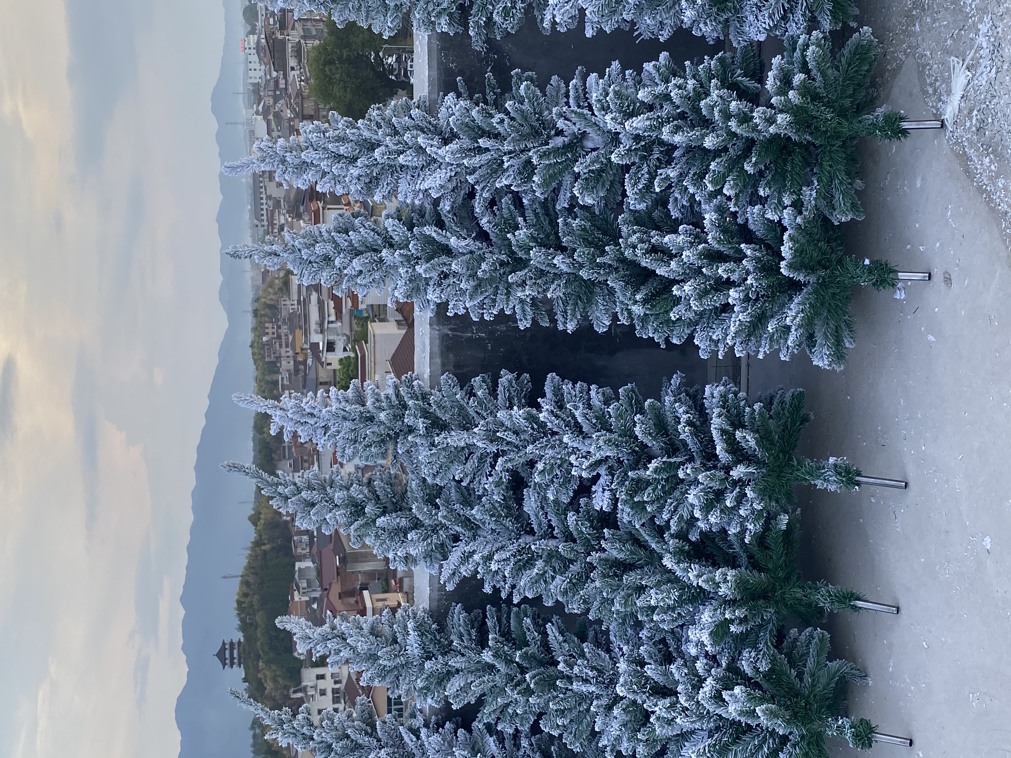 万德福工艺1.5米植绒树2