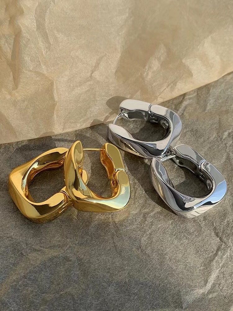 French Geometric Metal Earrings Female Niche Design New Style Earrings Buckle Temperament Celebrity Earrings Simple Cold Wind Earrings