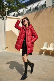 New light coat autumn and winter short cotton-padded jacket ladies small cotton-padded jacket down jacket 937