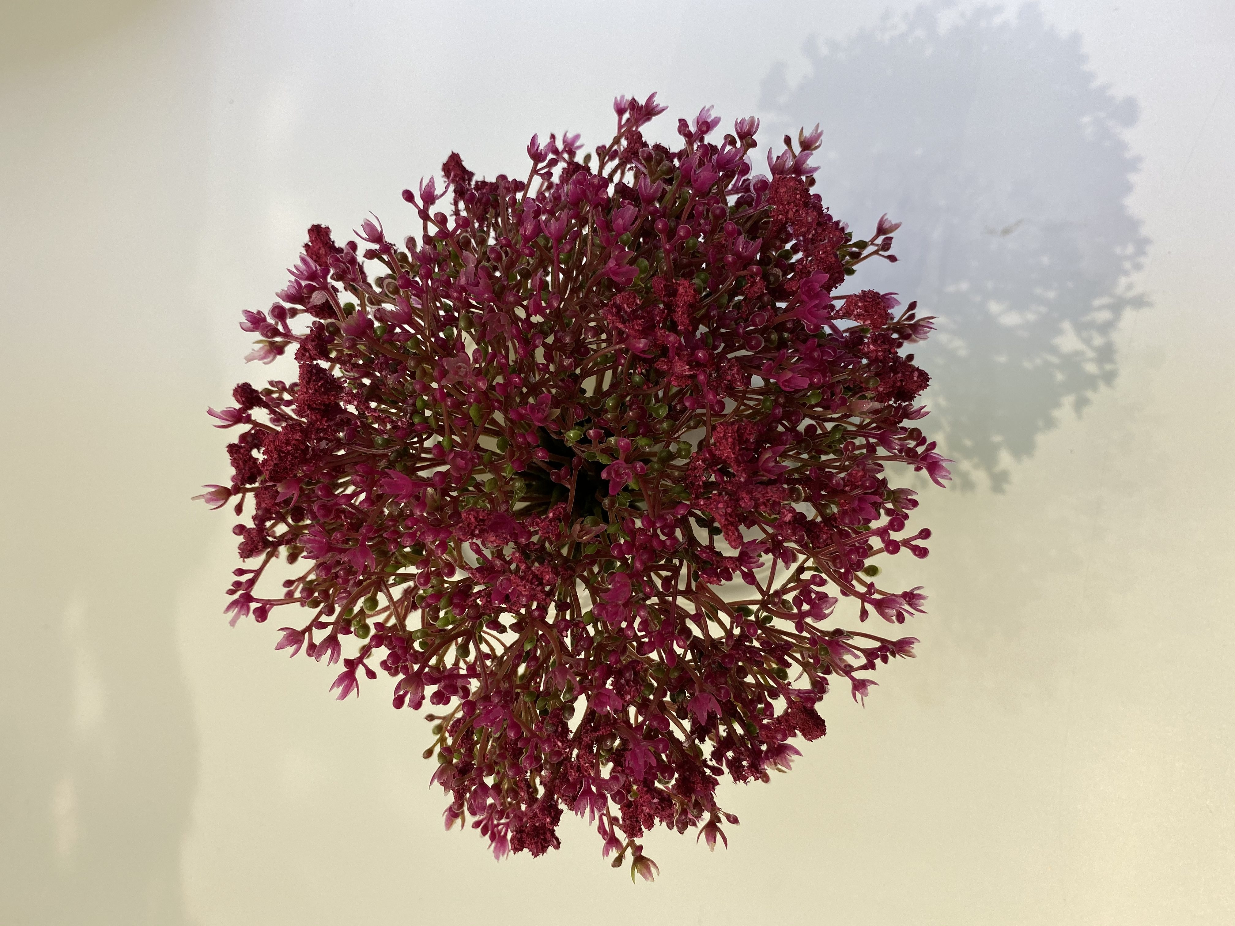 手捧满天星/仿真花产品图