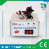 5A scooter battery charger Portable charger Small capacity battery charger