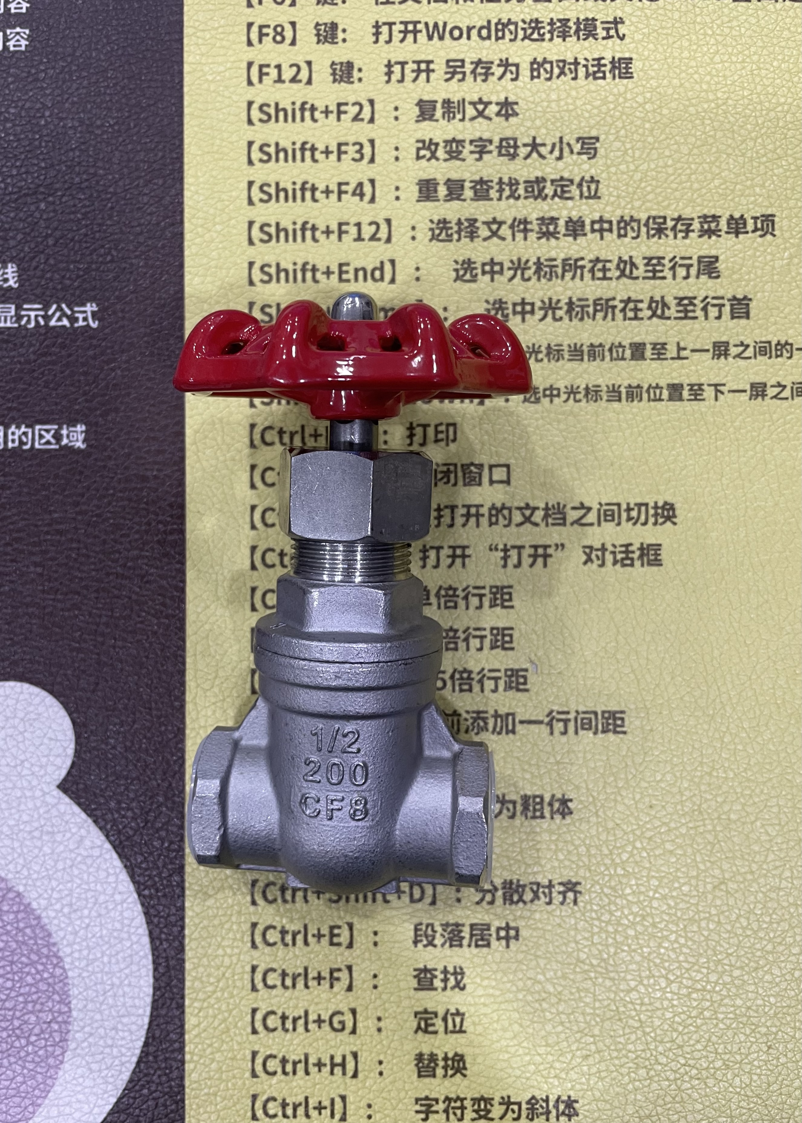 Stainless Steel 304 Gate Valve Z15w