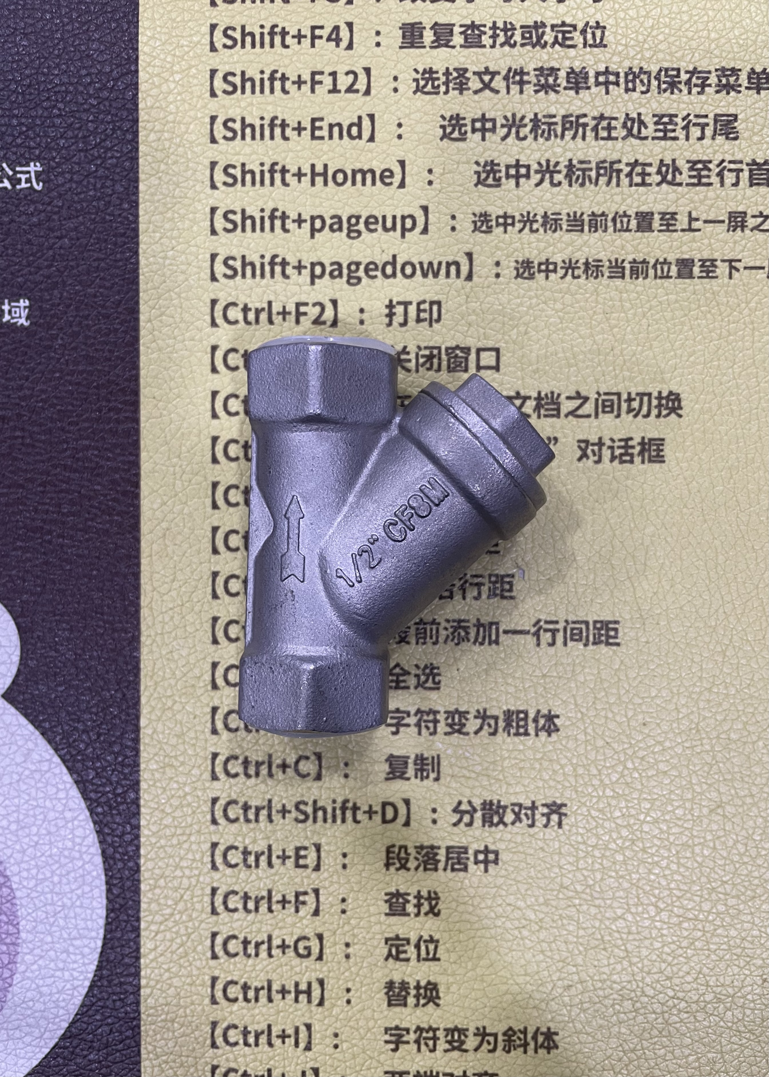Stainless Steel 304 Y Filter Gl11w