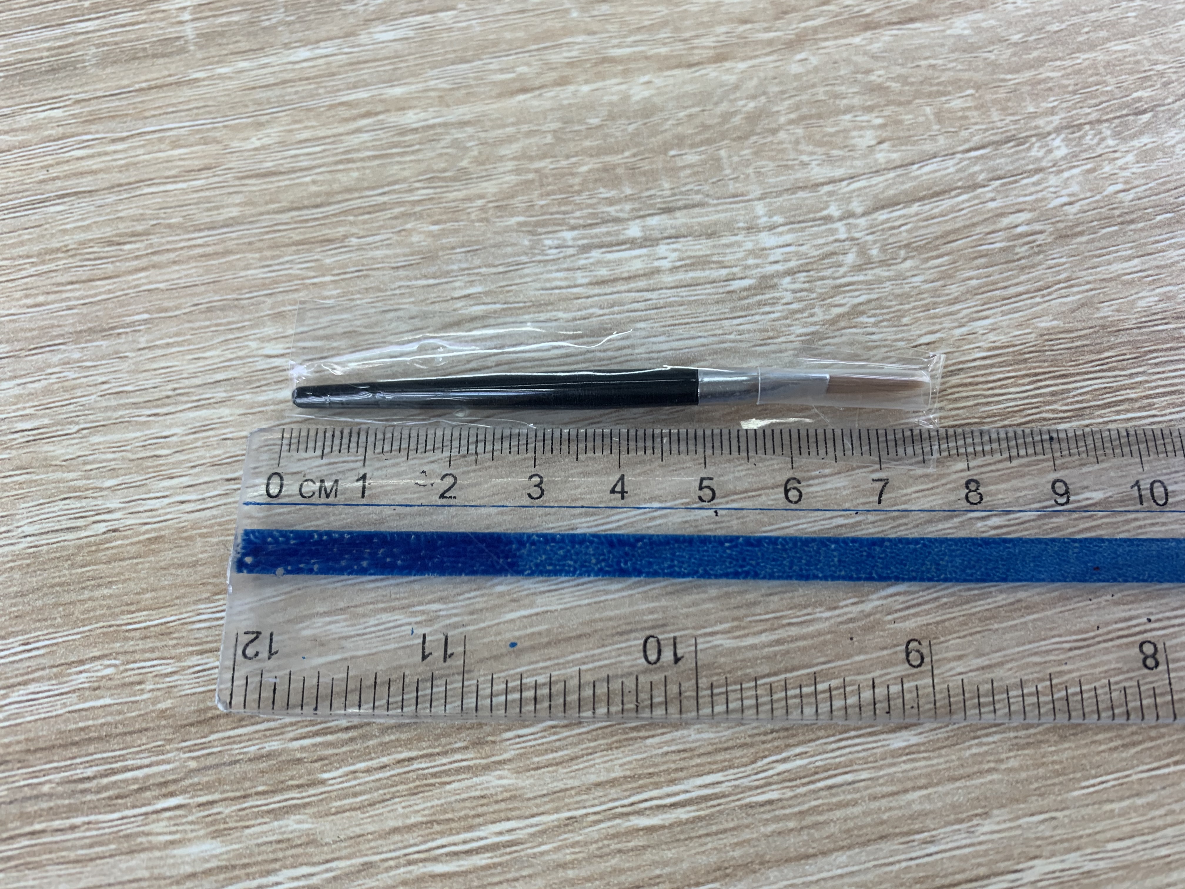 Lip Brush With Packaging details Picture
