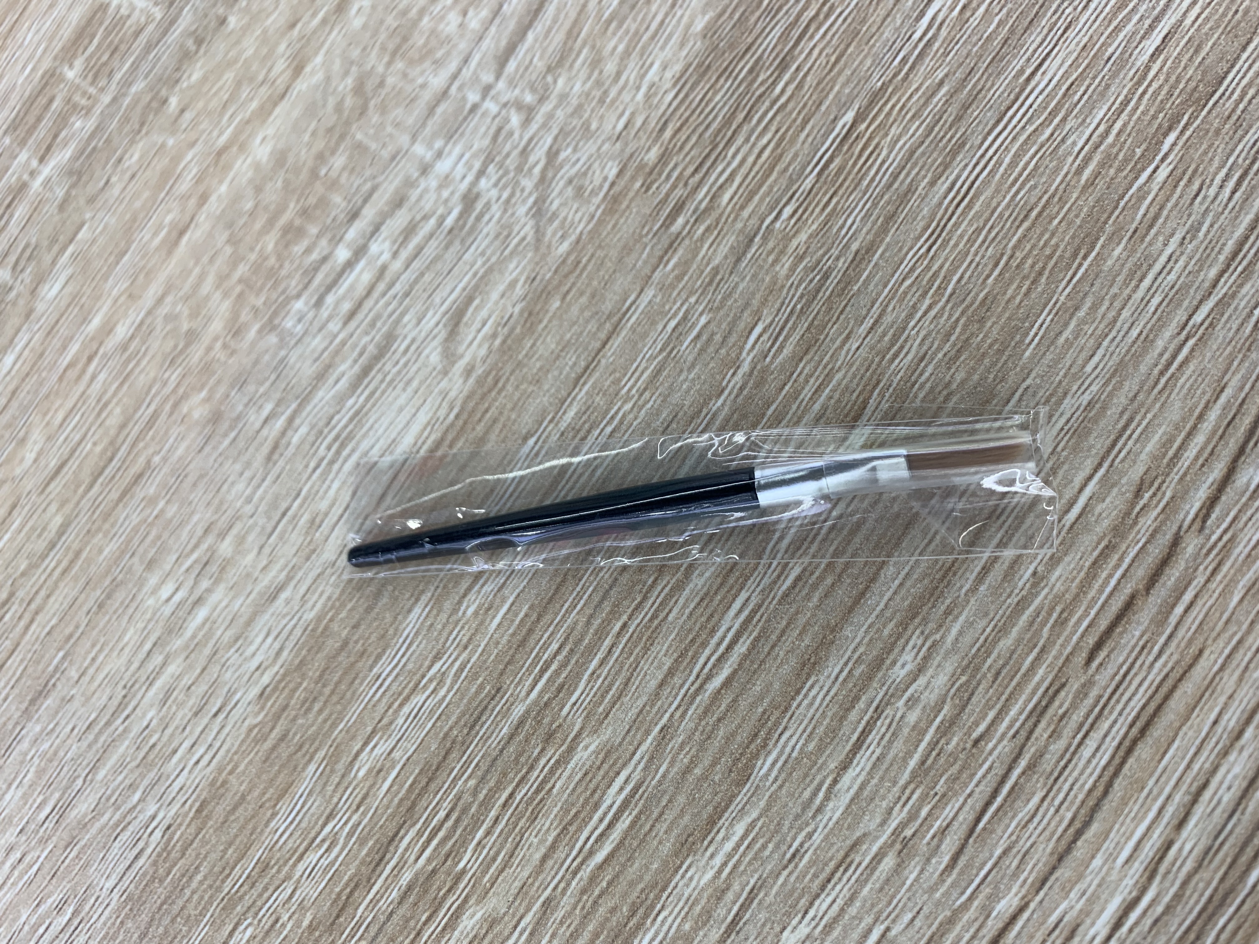 Lip Brush With Packaging