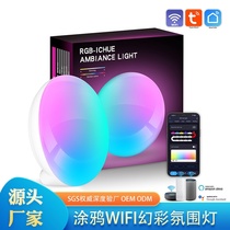 ZN Graffiti WIFI smart ceiling light Alexa Google ultra-thin simple Bluetooth RGBCW colorful bedroom light