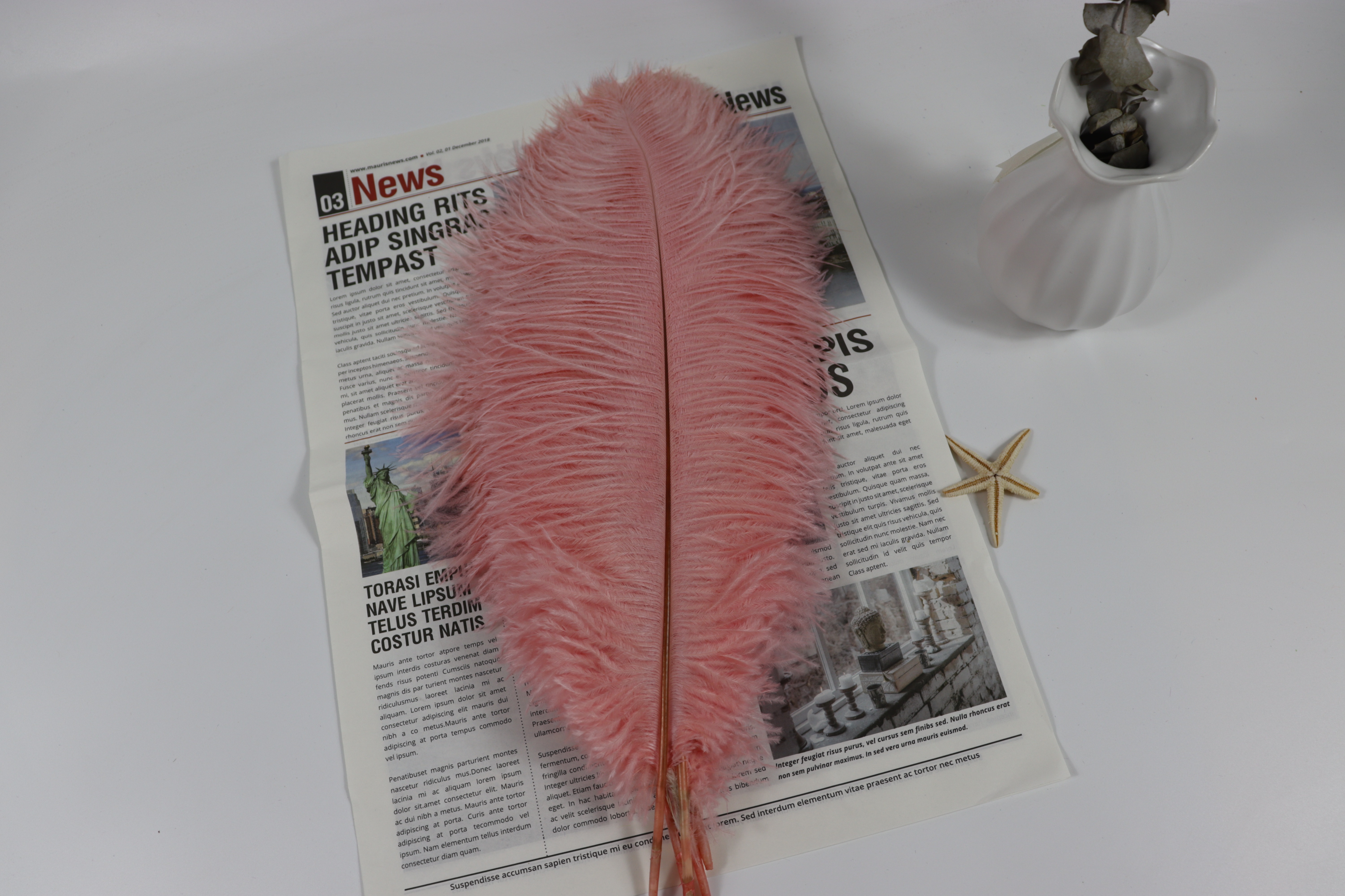 Diy Table Lamp Floor Lamp, Wedding Decoration, Shooting Props, Colorful Ostrich Hair Whole, Thin Rod 40~45Cm, Color Optional Item Picture