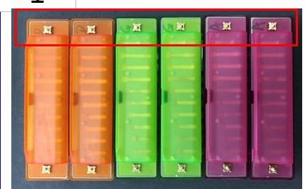 A 10-Hole Harmonica