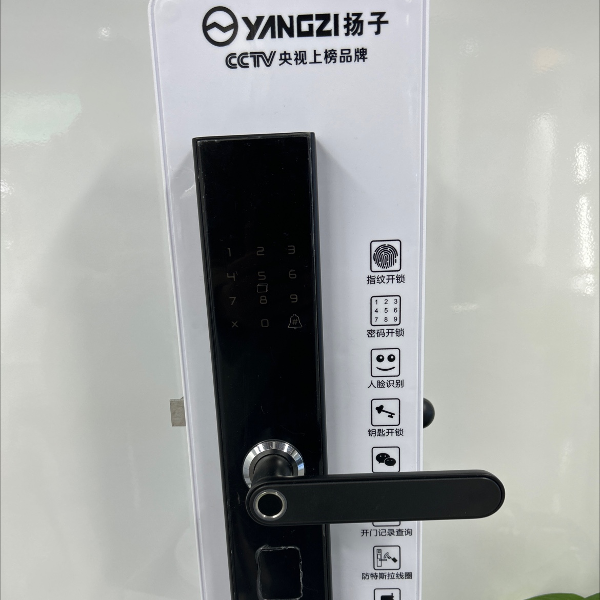 Yz-T01
