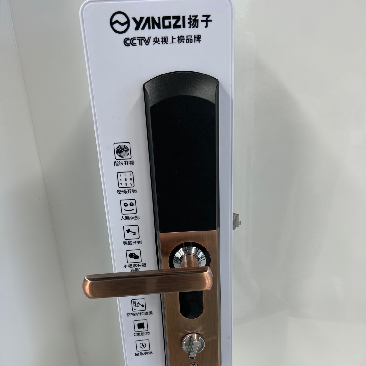 Yz-H6 details Picture