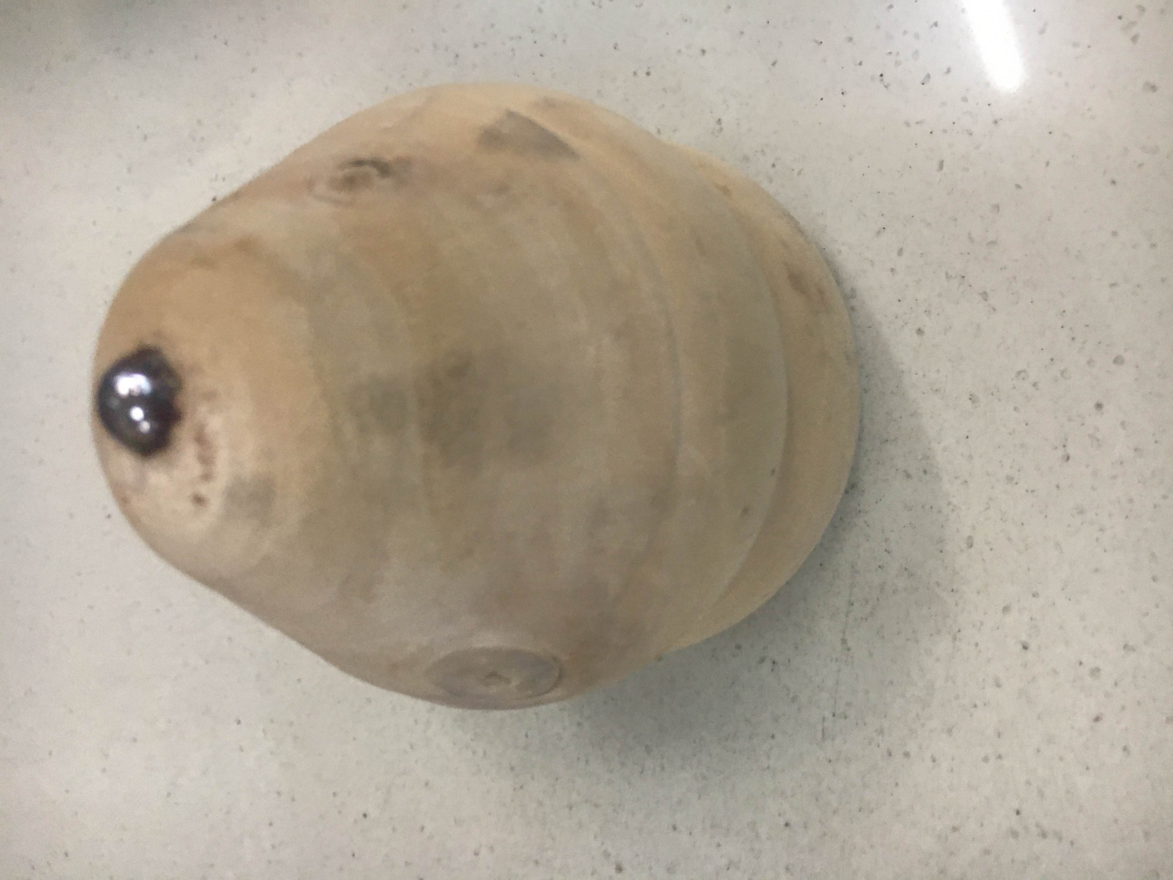 新奇产品木质陀螺 儿童传统怀旧玩具经典款成人木制玩具厂家批发直销