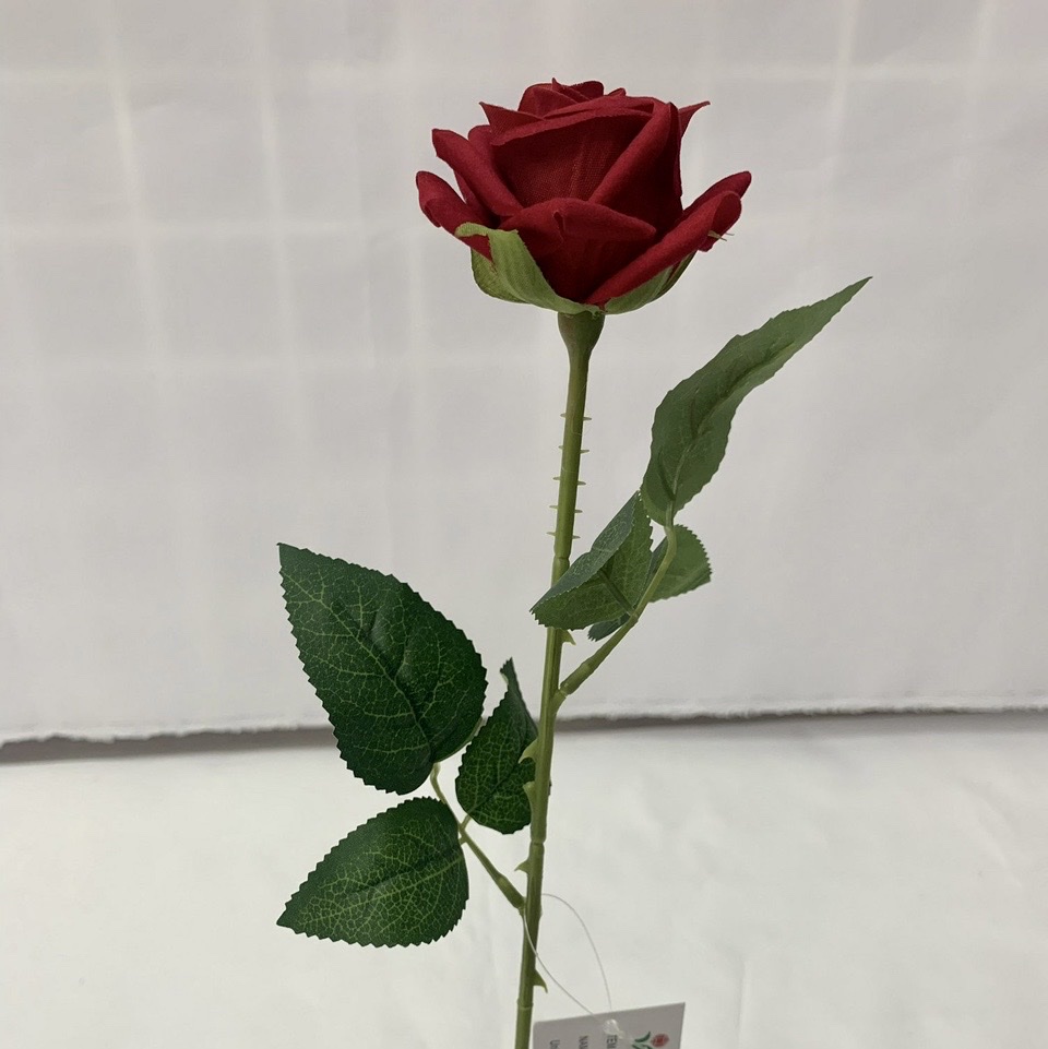 Single flannel rose thumbnail