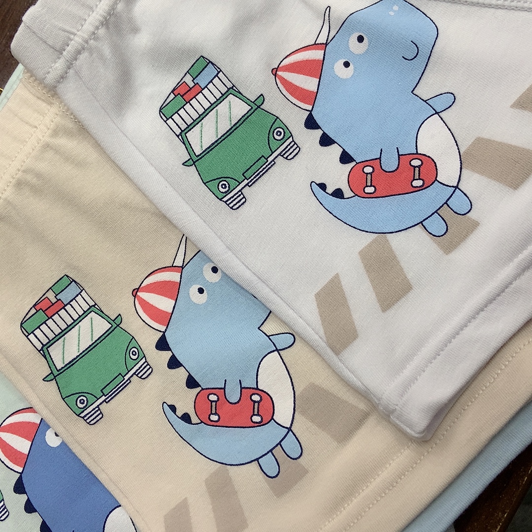 9527 Boys Rc Cotton Underwear details Picture