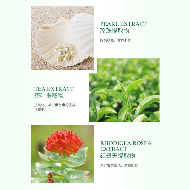 Rhodiola Hydra Moisturizing Cream Specification drawing