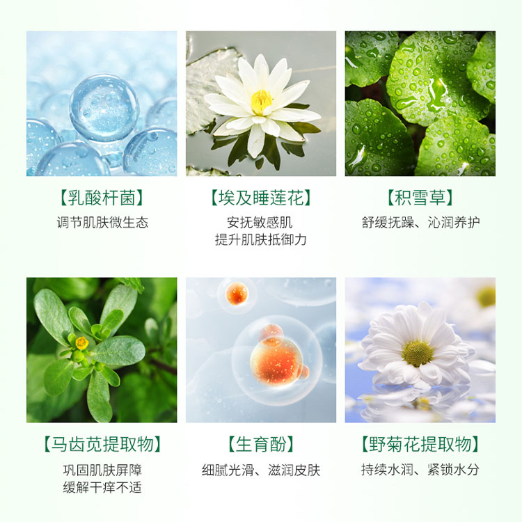 Trifen Blue Copper Peptide Soothing Serum Specification drawing