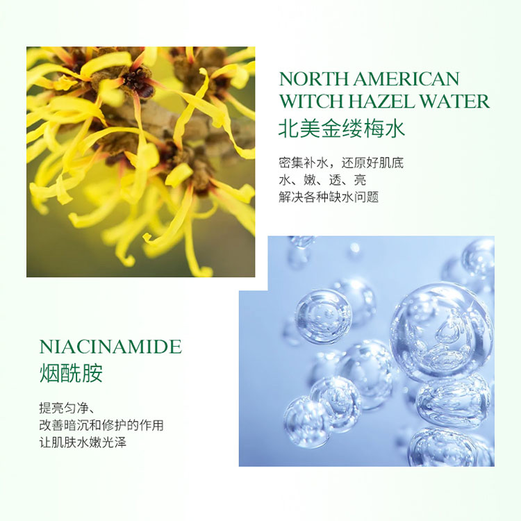 Saccharomyces Tilphinensis Cyanine Extract details Picture