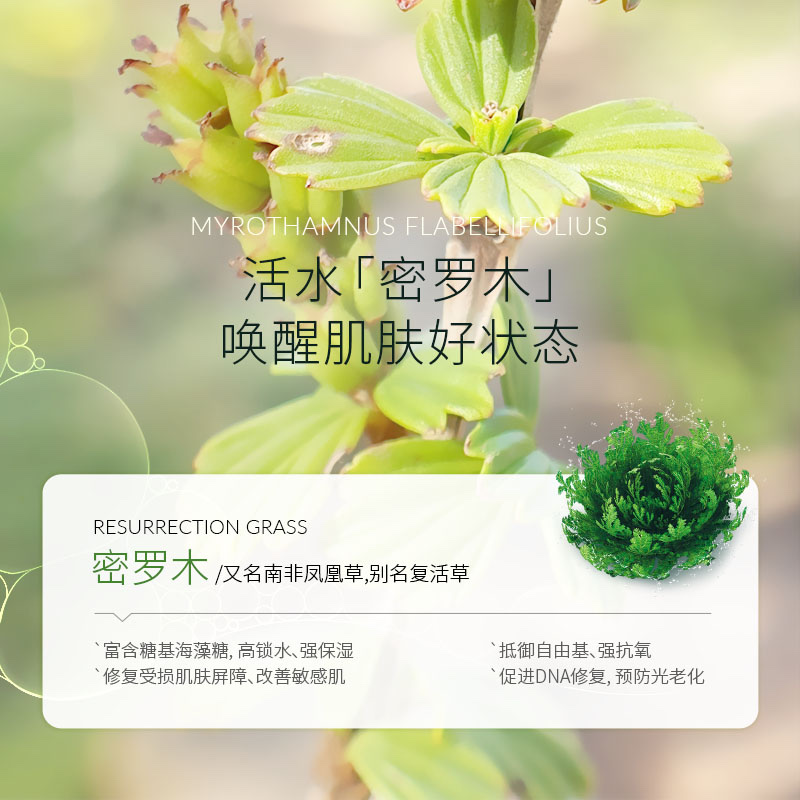 Tilphen Reinvigorate New Muscle Water Specification drawing