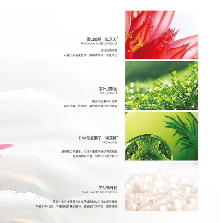 Rhodiola Hydra Moisturizing Cream details Picture