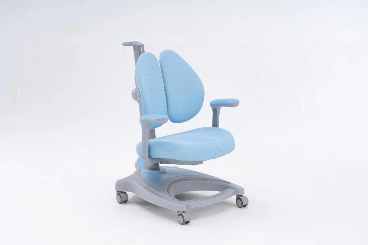 Orthotic Study Chair C