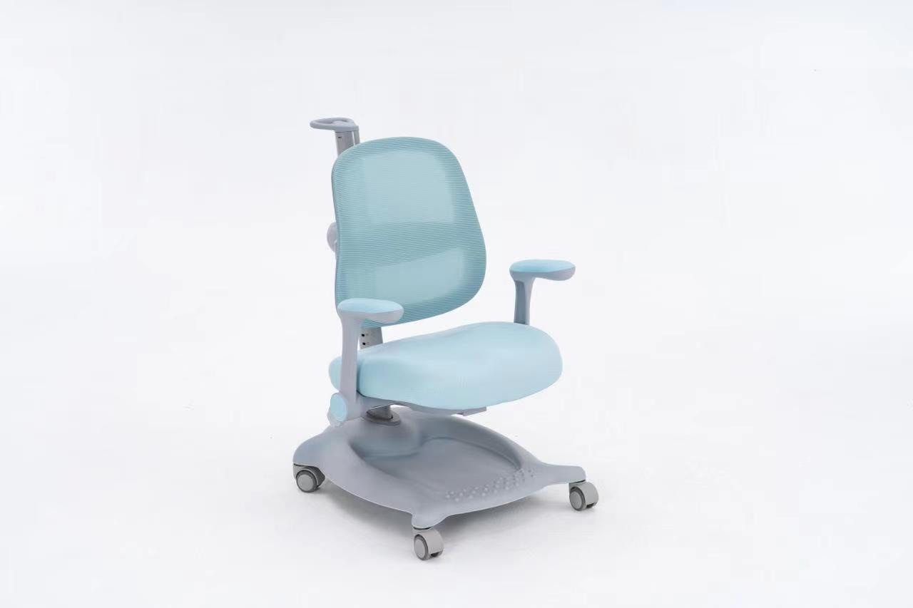 Orthotic Study Chair D full figure