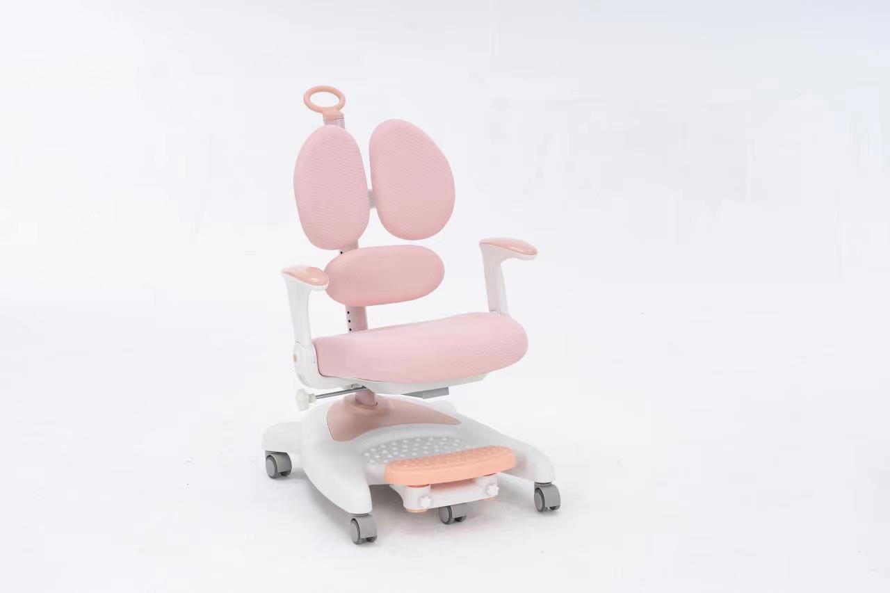 Orthotic Study Chair E