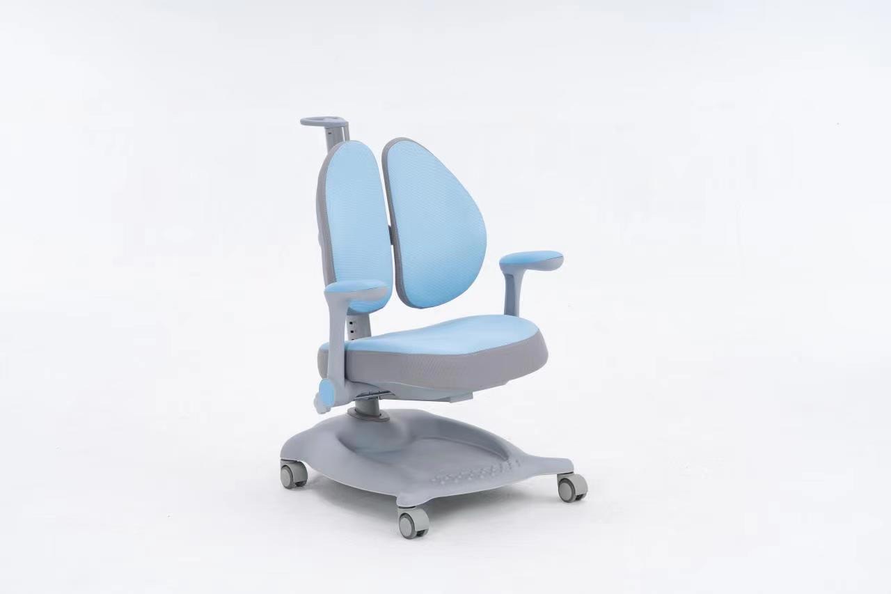 Orthotic Study Chair