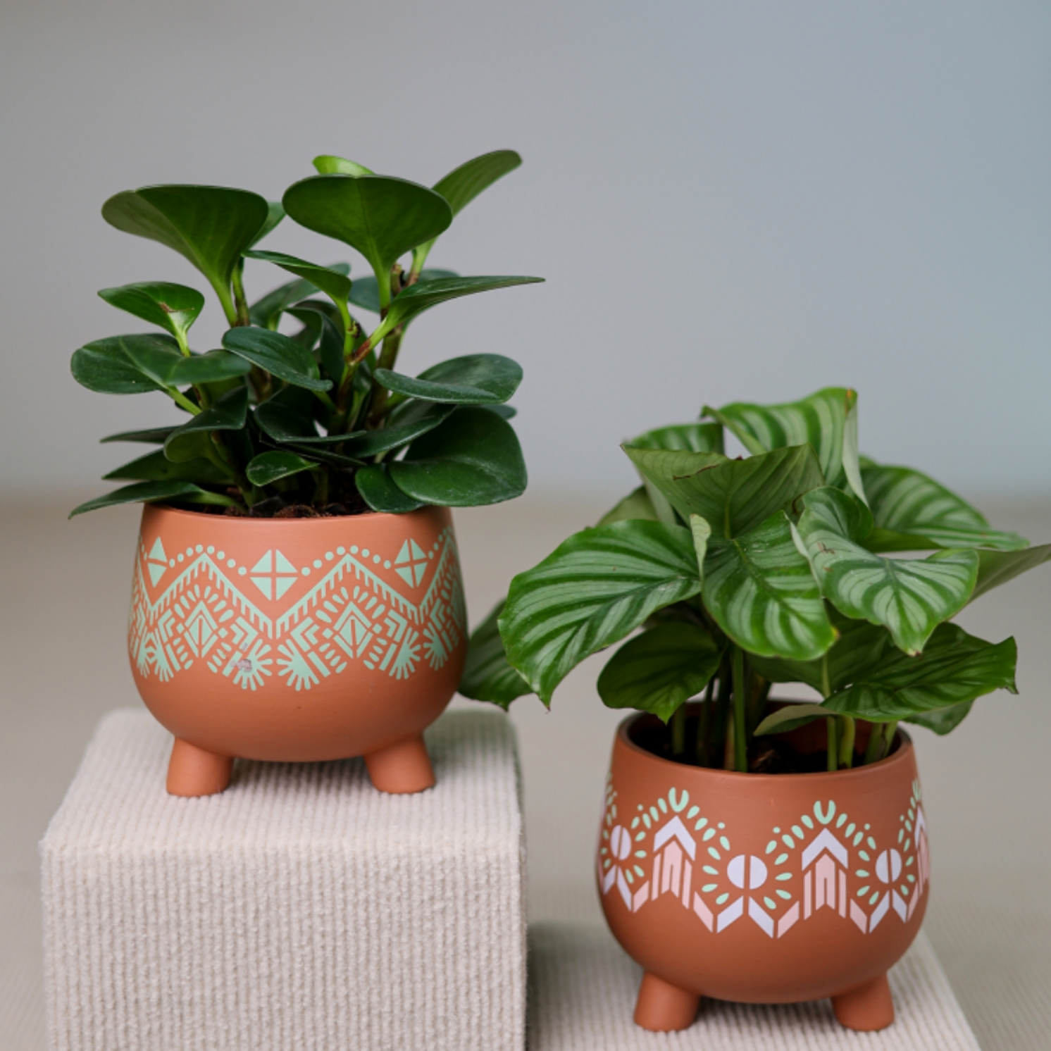 7961-28 Ceramic flower POTS, red soil flower POTS, Nordic style popular flower POTS for home decoration details Picture